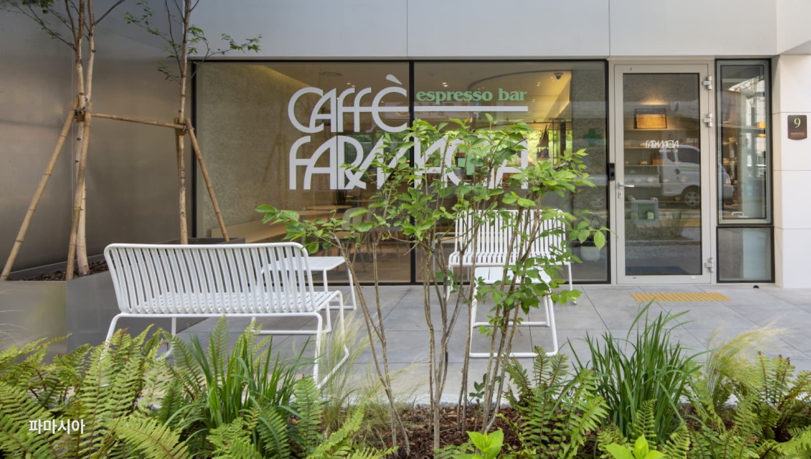 카페1 - 파마시아